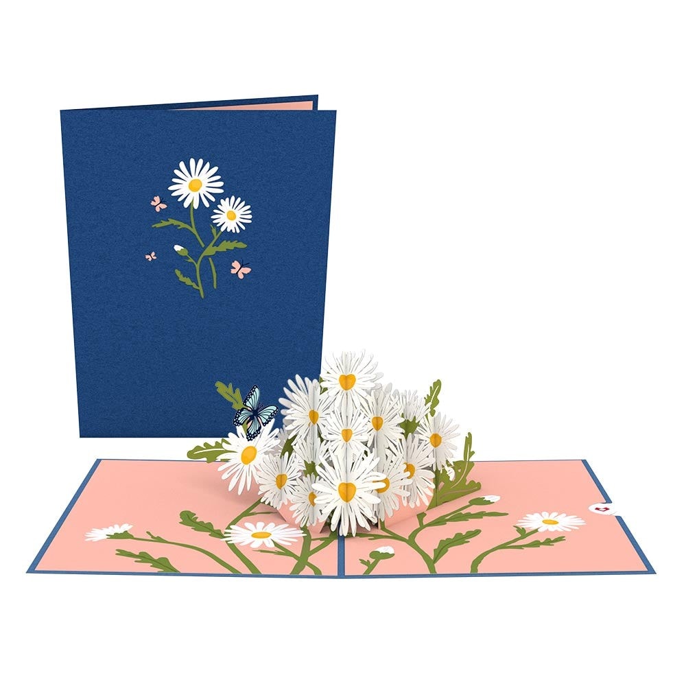 Daisies with Blue Morpho Butterfly